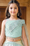 Sky Blue Zari Embroidered Lehenga Choli Set For Girls