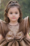Coffee Brown Statement Bow Party Wear Frock for Girls