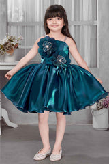 Blue Sleeveless And Floral Embellishment With Stone And Pearl Work Frock For Girls