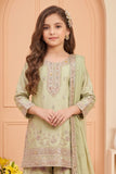 Pista Green Zari Embroidered Designer Wear Palazzo Set