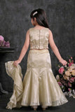 Fawn Sequin Embroidered Lehenga Choli Set For Girls
