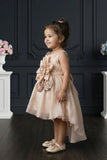 Champagne Blue Floral Party Wear Frock For Baby Girls