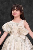 Fawn Sequin Party Wear Frock with Statement Floral Detail For Girls