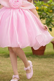 Pink Shimmer Party Wear Frock with 3D Floral Appliqué For Girls