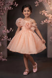 Peach One-Shoulder Party Frock with 3D Floral Bow For Girls