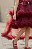 Maroon High-Low Party Wear Tulle Frock With Floral Embellishment For Girls