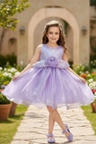 Lavender Shimmer Party Wear Frock with 3D Floral Appliqué For Girls