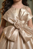 Girls Champagne Gold 3D Flower Applique Ball Gown
