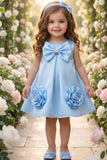 Girls Blue Bow And Floral Applique Party Wear Frock