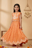 Bright Orange Embroidered Lehenga Choli Set For Girls