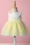 Yellow & White Embroidered Party Frock with Floral Appliqué For Girls