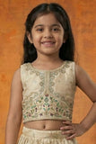Cream Zari Embroidered Lehenga Choli For Girls