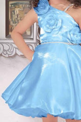 Blue Organza Frock With Floral Embellished For Girls