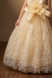 Fawn Floral Applique One-Shoulder Party Wear Gown with Big Bow For Girls