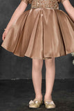 Bronze Embroidered Party Frock With Puff Sleeves For Girls