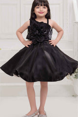 Black Sleeveless And Floral Embellished Frock For Girls