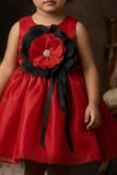 Girls Red  Party Frock With Black Floral Applique