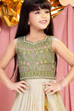 Pastel Green And Cream With Sequins Embroidery Pattu Pavadai Set For Girls