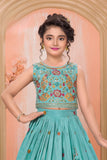 Aqua Blue Multicolor Embroidered Lehenga Choli Set For Girls