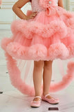 Girls Peach Sequin Embellished Party Frock with Tulle Layers and Floral Detail