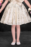 Fawn Sequin Party Wear Frock with Statement Floral Detail For Girls