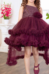 Wine Net Tailback Floral Embellishment Frock With Hairband For Girls