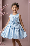 Powder Blue Floral Party Wear Frock For Baby Girls