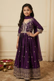 Wine Sequins Work And Zari Embroidered Ethnic Gown For Girls