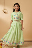 Pastel Green Bird Embroidered Lehenga Choli Set For Girls
