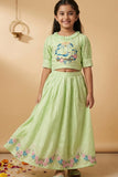 Pastel Green Bird Embroidered Lehenga Choli Set For Girls