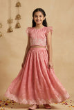 Blush Pink Shimmer Embroidered Lehenga Choli Set For Girls