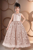 Designer Fawn Sequin Embellished Net Party Gown For Girls