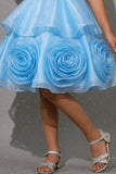 Sky Blue Embellished Party Wear Frock with 3D Rose Appliqué For Girls