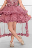 Dusty Rose Party Wear Frock with Sequin Bodice & Ruffled Hemline For Girls