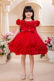 Red Floral Appliqué Party Frock For Girls