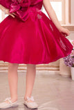 Elegant Rani Pink Floral And Butterfly Embellished Frock For Girls