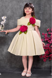 Beige Off-Shoulder 3D Rose Appliqué Party Wear Frock For Girls