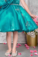 Teal Blue Party Frock With Big Flower and Butterfly Design For Girls