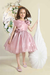 Onion Pink Sleeveless Sequins Work And Floral Embellished Frock For Girls