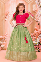 Rani Pink And Green Embroidered Pattu Pavadai Set For Girls
