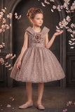 Girls Fawn Party Wear Frock with 3D Floral Bow And Sequin Detailing