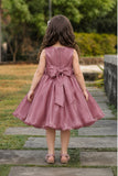 Girls Mauve Pink 3D Floral Party Dress