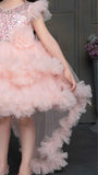Peach Shimmer Tailback Party Wear Frock With Floral Embellishment For Girls
