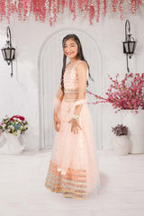 Peach Embroidered Lehenga Choli Set with Dupatta - Lagorii Kids