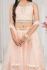 Peach Embroidered Lehenga Choli Set with Dupatta - Lagorii Kids