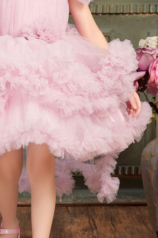 Baby Pink Netted Tailback Frock for Girls. - Lagorii Kids